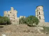 Grimaud - Ruinas del castillo y los árboles