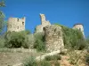 Grimaud - Escalera que conduce a las ruinas del castillo, los árboles y la vegetación
