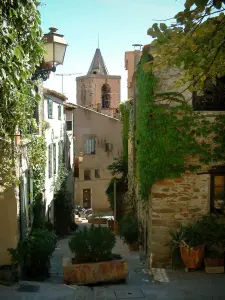 Grimaud - Sloping narrow street of the medieval village, houses with facades covered with creepers and bell tower of the Saint-Michel church in background