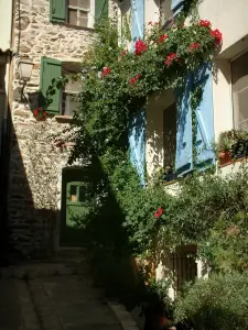 Grimaud - Houses of the medieval village with creepers in flowers