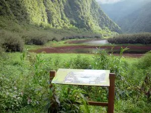 Grosser Teich - Pädagogische Tafel mit Erläuterung des Ökosystems des Teiches, mit Blick auf den Teich umgeben von grünenden Befestigungen