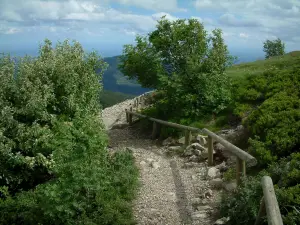 Grote Ballon - Heester omzoomde pad (Regionale Natuurpark van de Ballons des Vosges)