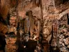 Grotta delle Demoiselles - Concrezioni della sala grande: colonne, stalattiti