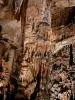 Grotte des Demoiselles - Concreties van de grote zaal