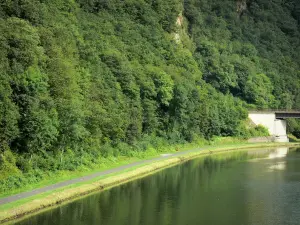 Grüner Weg Trans-Ardennes - Maas-Tal (Meuse-Tal), im Regionalen Naturpark der Ardennen: Grüner Weg (Radweg) angelegt auf dem ehemaligen Treidelweg, entlang der Maas (Meuse), mit grüner Umgebung;