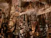 La gruta de las Doncellas - Guía turismo, vacaciones y fines de semana en Hérault