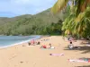 Guadeloupe beaches - Grande Anse beach on the island of Basse-Terre, in the town of Deshaies: relaxing on the golden sand between coconut palms and the Caribbean sea