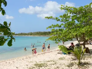 Guadeloupe beaches - Souffleur beach, on the island of Grande-Terre, in the town of Port-Louis: relaxing on the sandy beach shaded by trees and swimming in the turquoise sea