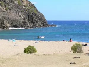 Guadeloupe beaches - Beach of the Rodrigue cove in Les Saintes archipelago, on the island of Terre-de-Haut: sandy beach overlooking the sea and the rocky coast