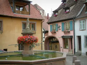 Gueberschwihr - Brunnen mit Blumen (Geranien) und Häuser mit farbigen Fassaden des Dorfs