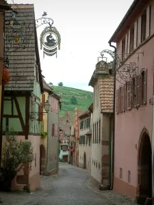 Gueberschwihr - Geplaveide straat met huizen met kleurrijke gevels versierd met oude borden