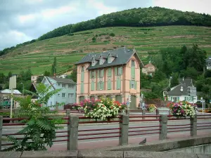 Guebwiller - Flower-covered bridge, house and hill covered by vineyards