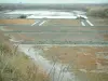 Guérande salt marshes - Ponds and vegetation