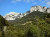 Guiers Mort gorges - Chartreuse mountains (Chartreuse Regional Nature Park): cliffs and trees