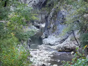 Guiers Mort gorges - Chartreuse mountains (Chartreuse Regional Nature Park): river, rock walls and trees