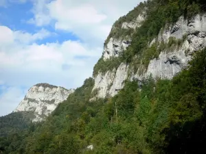 Guiers Mort gorges - Chartreuse mountains (Chartreuse Regional Nature Park): cliffs and trees