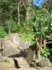 Hacienda La Grivelière - Escalera que conduce al jardín criollo