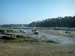 Hafen von Bélon - Ebbe mit Booten, Segelbooten und Frachtkähnen, Wald im Hintergrund