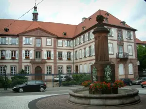 Haguenau - Flower-bedecked fountain and a building