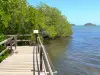 Halbinsel Caravelle - Naturreservat der Caravelle - Regionaler Naturpark der Martinique: Beobachtungsstelle mit Blick auf den Mangrovenwald und die Bucht Trésor