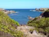 Halbinsel Caravelle - Naturresrvat der Caravelle - Regionaler Naturpark der Martinique: Wanderung entlang der Felsenküste