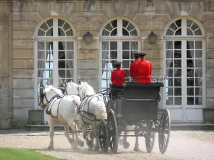 Haras National du Pin - Jeudis du Pin (spectacle équestre) : attelage de traits percherons et façade du château ; sur la commune de Le Pin-au-Haras