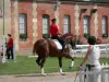 Haras National du Pin - Cavalier à cheval lors des Jeudis du Pin (spectacle équestre) ; sur la commune de Le Pin-au-Haras