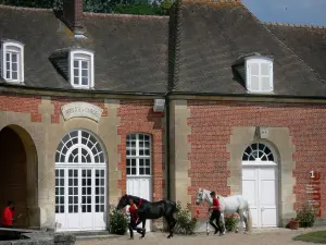 Haras National du Pin - Défilé de chevaux lors des Jeudis du Pin (spectacle équestre) ; sur la commune de Le Pin-au-Haras