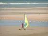 Hardelot-Plage - Côte d'Opale : plage de sable avec une personne pratiquant le speed-sail (planche à voile sur roulettes), mouettes et mer (la Manche) ;  dans le Parc Naturel Régional des Caps et Marais d'Opale