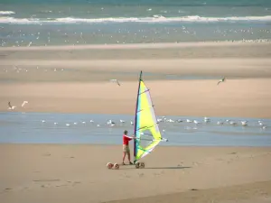 Hardelot-Plage - Opal Coast: sandy beach with a person practising the speed-sail (windsurfing board with wheels), gulls and the Channel (sea); in the Regional Nature Park of Opal Capes and Marshes