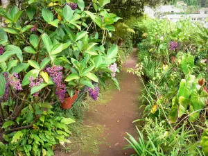 Haus Folio - Spazierweg im tropischen Garten