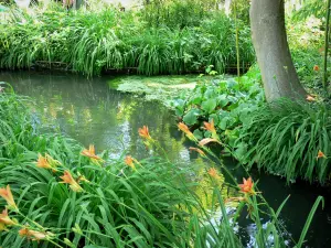 Haus und Gärten von Claude Monet - Garten von Monet, in Giverny: Wassergarten: orangefarbene Lilienblumen und kleiner Wasserlauf