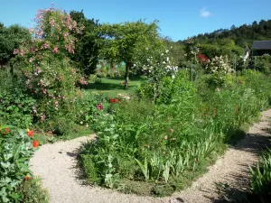 Haus und Gärten von Claude Monet - Garten von Monet, in Giverny: Clos Normand: Pflanzen und blühende Rosenstöcke