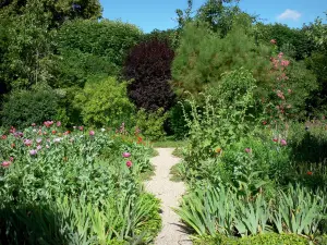 Haus und Gärten von Claude Monet - Garten von Monet, in Giverny: Clos Normand: kleine Allee gesäumt von Blumenbeeten