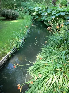 Haus und Gärten von Claude Monet - Garten von Monet, in Giverny: Wassergarten: kleiner Wasserlauf gesäumt von blühenden Lilien