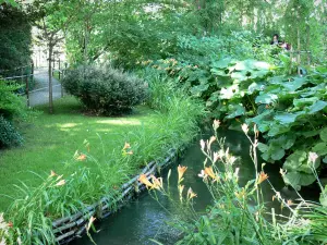 Haus und Gärten von Claude Monet - Garten von Monet, in Giverny: Wassergarten: kleiner Wasserlauf gesäumt von blühenden Lilienblumen, Bodenbewuchs und Bäume