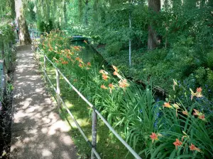 Haus und Gärten von Claude Monet - Garten von Monet, in Giverny: Wassergarten: Allee, orangefarbenen Lilien, kleiner Wasserlauf und Bäume