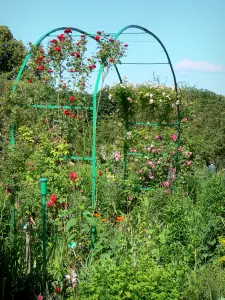 Haus und Gärten von Claude Monet - Garten von Monet, in Giverny: Clos Normand: Bogen versehen mit blühenden Rosen, und Pflanzen