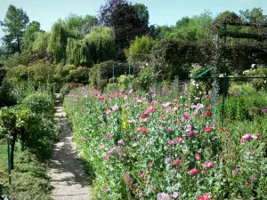 Haus und Gärten von Claude Monet - Garten von Monet, in Giverny: Clos Normand: kleine Allee gesäumt von Blumenbeeten