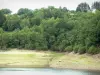 Haute Vallée de la Dordogne - Arbres au bord de la retenue d'eau de Bort-les-Orgues