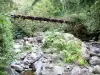 Hell-Bourg - Vecchio ponte sul fiume