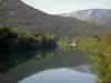 Hérault valley - Hérault river, trees along the water, hills