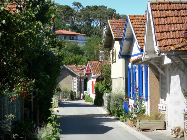 L'Herbe - Lane y chozas de ostras flores aldea en el municipio de Lege -Cap -Ferret