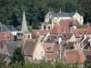 Hérisson - Saint-Sauveur bell tower (remains of the ancient Saint-Sauveur church), Notre-Dame church and rooftops of the medieval village