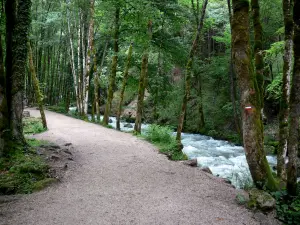 Hérisson waterfall - Footpath leading to the waterfalls, Hérisson river and trees along the water