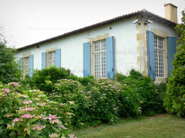 Herrensitz von Gaujacq - Blühende Hortensien und Fassade mit blauen Fensterläden des herrschaftlichen Hauses