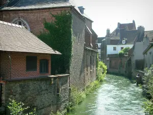 Hesdin - Rivière bordée de maisons