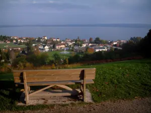 Het Lemanmeer - Bench met uitzicht op het kuuroord Evian-les-Bains, het meer en de Zwitserse bank