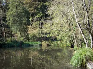 Het plateau van Isle Crémieu - Vijver omgeven door bomen