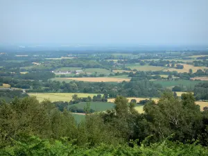 Heuvel Butte du Montaigu - Panorama van Montaigu: uitzicht op het landschap van het bos Coëvrons vanaf de top van de heuvel